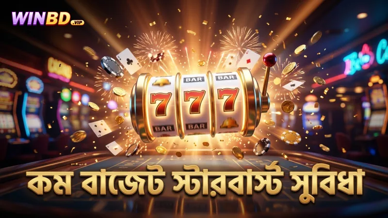 লো-ভোলাটিলিটি স্টারবার্স্টে বাজেট কম রাখতে সাহায্য করে।
